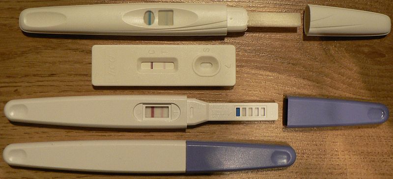 图 13， 验孕棒，一种检测怀孕的器具，形状像一根笔，外观扁平，有一观察区域显示测试结果。